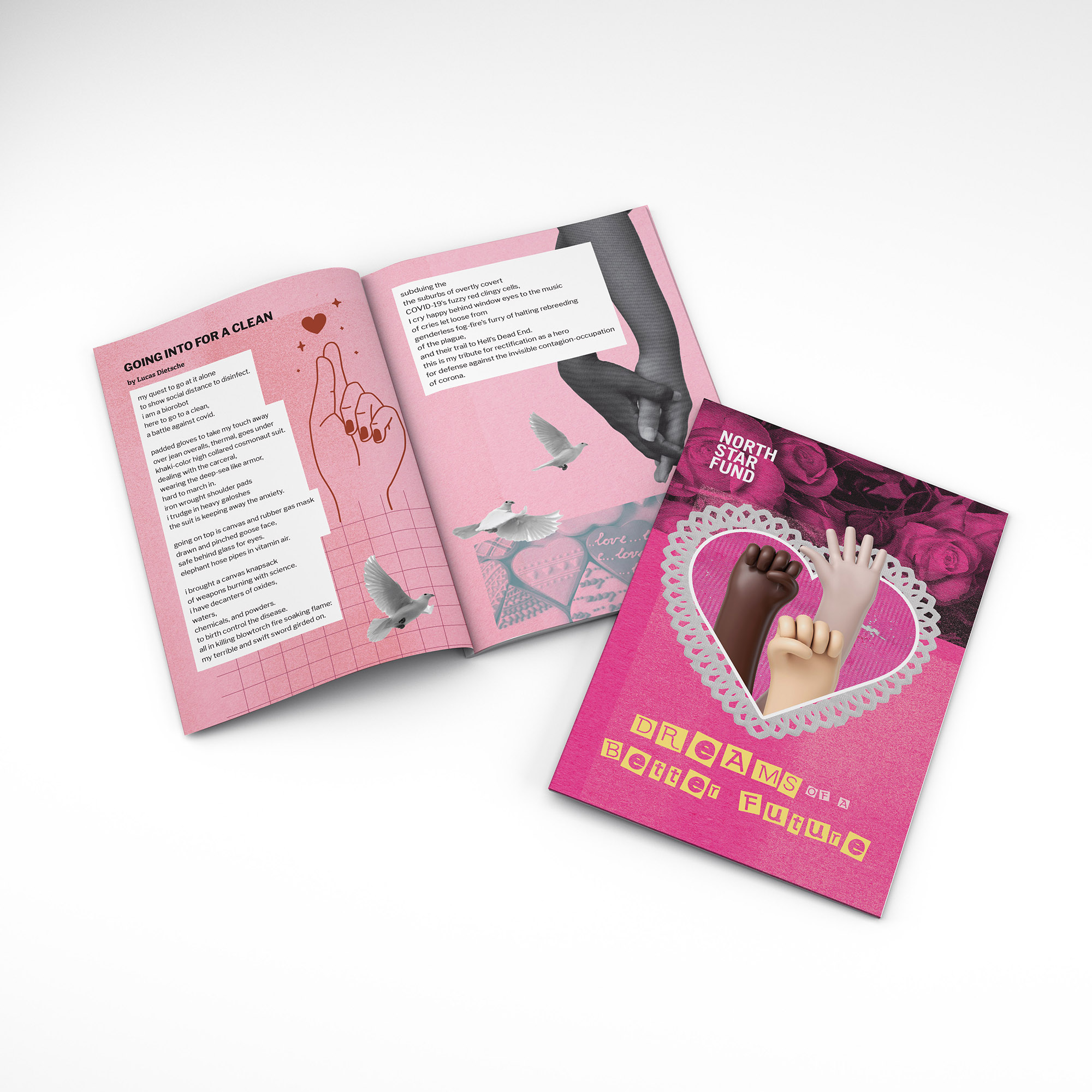 NSF Zine Book Report