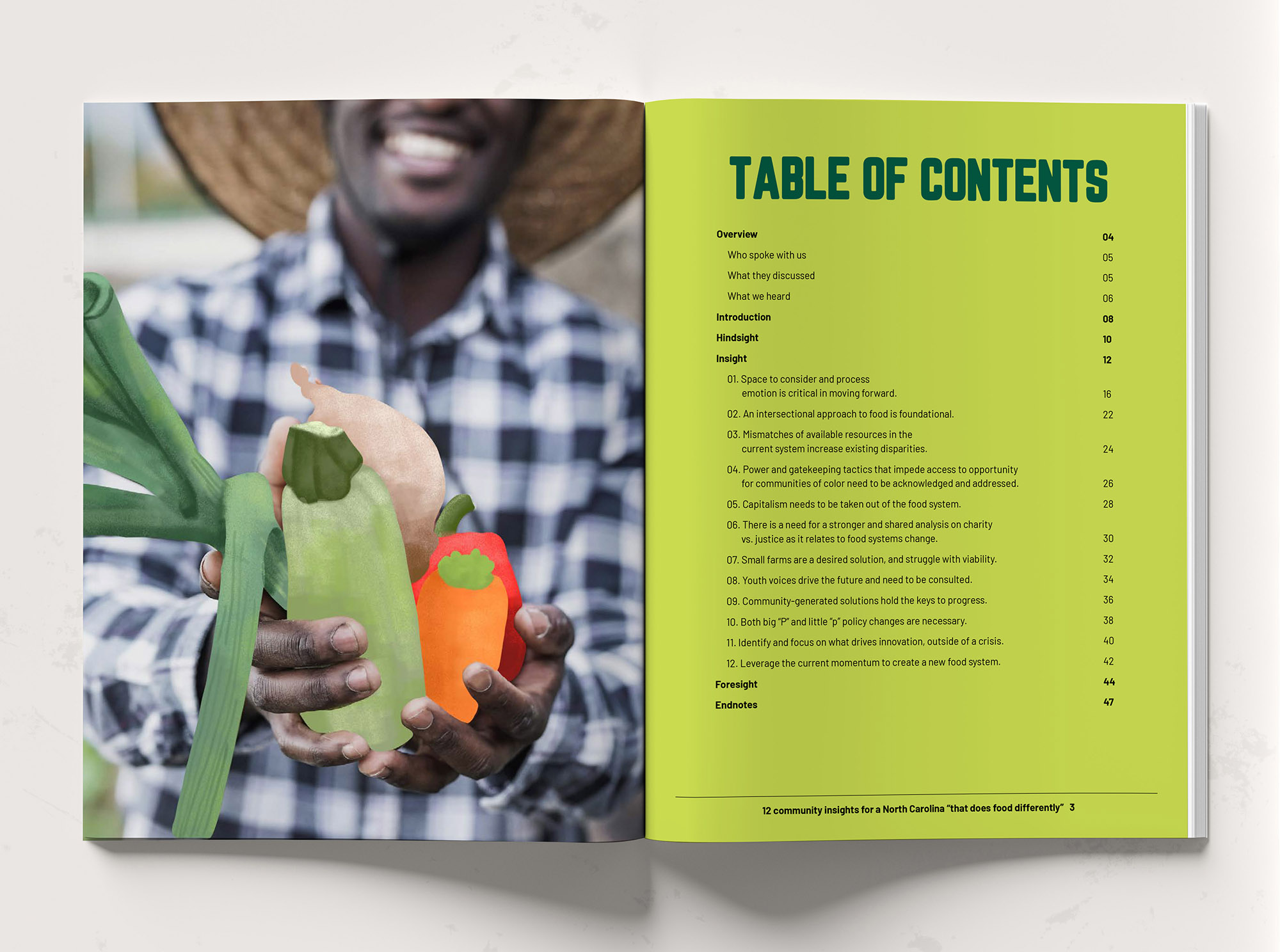 FIG Report and Illustrations