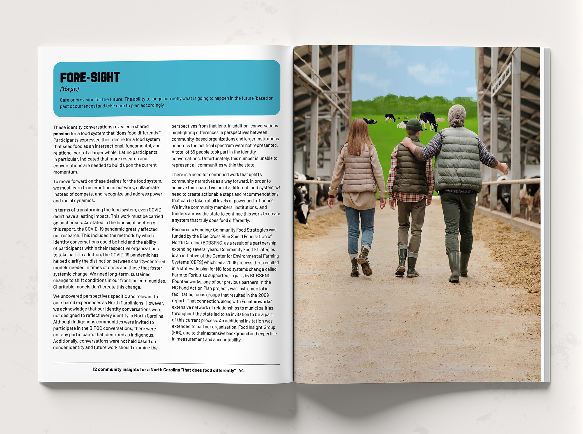 FIG Report and Illustrations