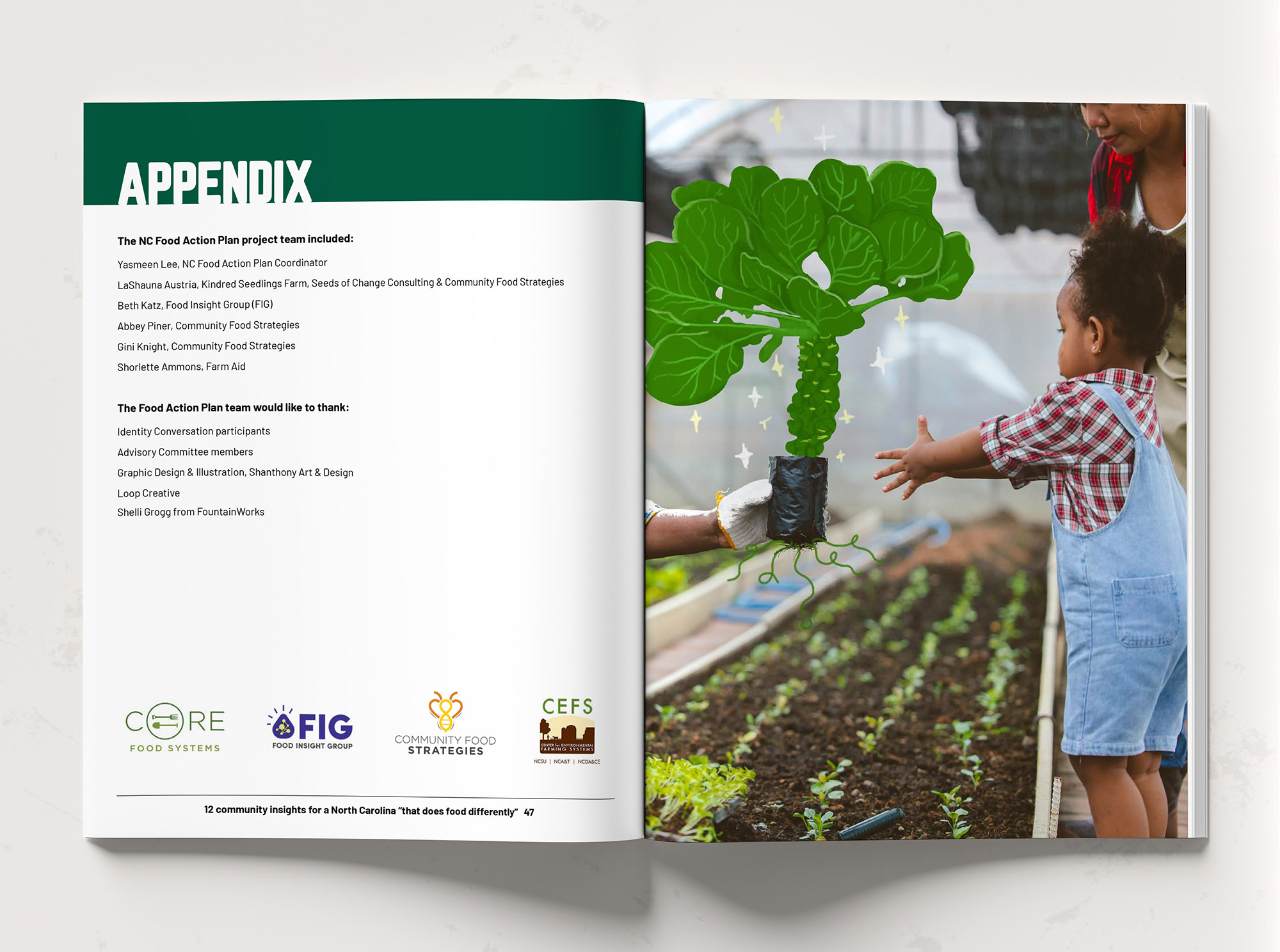 FIG Report and Illustrations