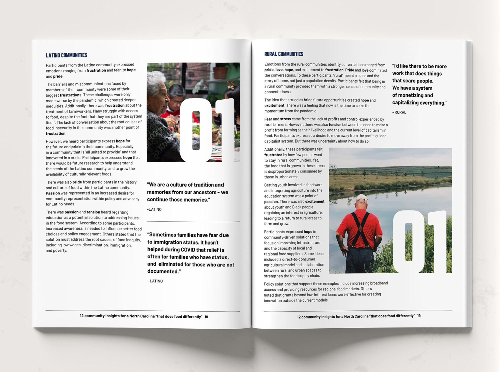 FIG Report and Illustrations