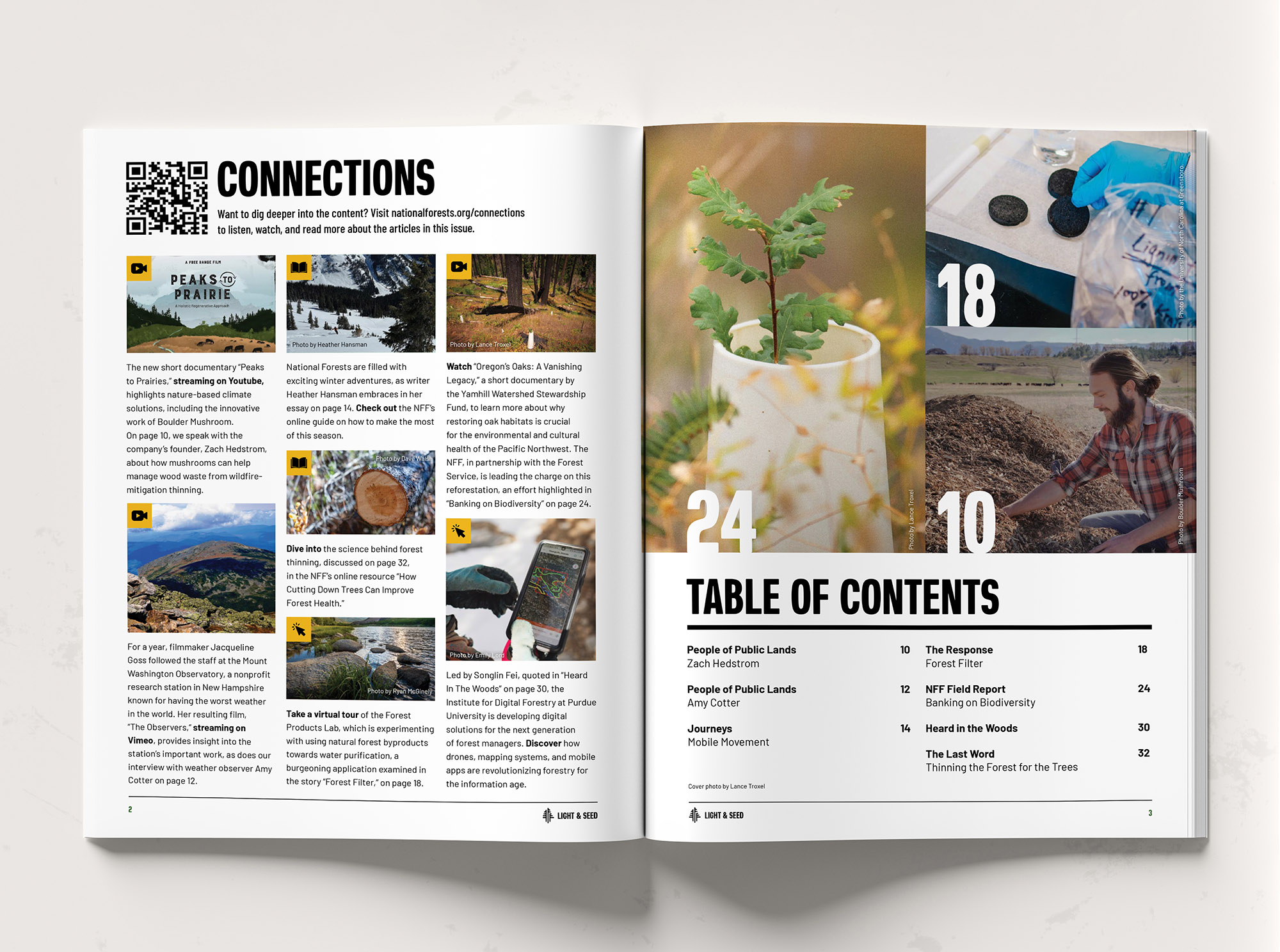 LS 2 Book Spread shutterstock_167820019323 copy 2