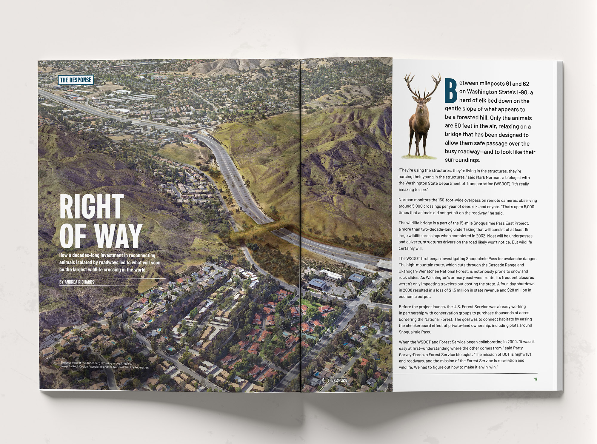 LS 6 Book Spread shutterstock_167820019323 copy 2